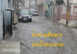 น้ำท่วมต้นธารแห่งโรคระบาด รูปภาพ 1