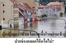 ผู้หญิงลุยน้ำท่วม ... พารามิเตอร์รูปภาพ 1