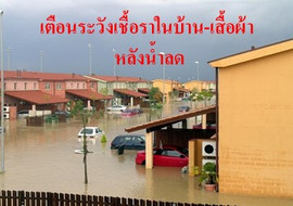 เตือนระวังเชื้อราในบ้าน-เสื้อผ้า หลังน้ำลด พารามิเตอร์รูปภาพ 1