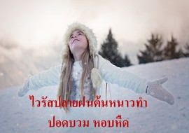 ไวรัสปลายฝนต้นหนาวทำปอดบวม หอบหืด พารามิเตอร์รูปภาพ 1