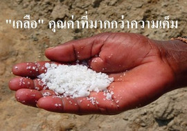 &quot;เกลือ&quot; คุณค่าที่มากกว่าความเค็ม พารามิเตอร์รูปภาพ 1