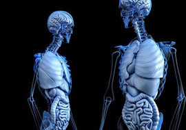 กินให้ถูก เลี่ยงกระดูกพรุนได้ ! พารามิเตอร์รูปภาพ 1