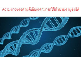 ความยาวของสายดีเอ็นเอสามารถใช้ทำนายอายุขัยได้ พารามิเตอร์รูปภาพ 1