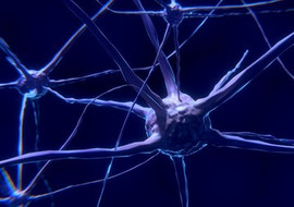 ไทม์แมชชีนของสมอง!! พารามิเตอร์รูปภาพ 1