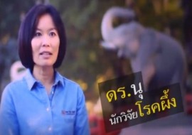 รายการ ดร.ฮีโร่ - ดร.ภาณุวรรณ จันทวรรณกูร พารามิเตอร์รูปภาพ 1