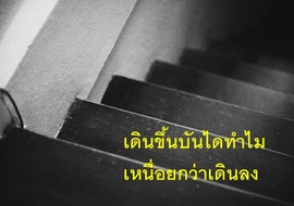 เดินขึ้นบันไดทำไมเหนื่อยกว่าเดินลง พารามิเตอร์รูปภาพ 1