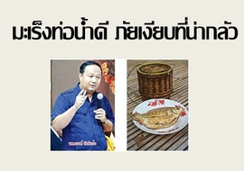 มะเร็งท่อน้ำดี ภัยเงียบที่น่ากลัว พารามิเตอร์รูปภาพ 1