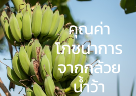 คุณค่าโภชนาการจากกล้วยน้ำว้า พารามิเตอร์รูปภาพ 1