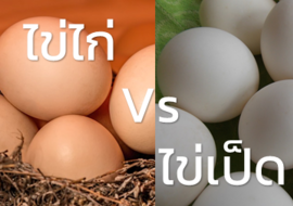 จะกินไข่ไก่หรือไข่เป็ดดี รูปภาพ 1