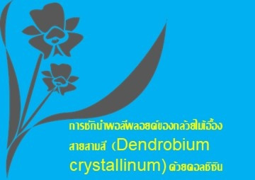 การชักนำพอลีพลอยด์ของกล้วยไม้เอื้องสายสามสี (Dendrobium ... พารามิเตอร์รูปภาพ 1