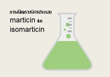 การสังเคราะห์สารประกอบ marticin และ isomarticin รูปภาพ 1