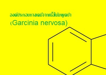 องค์ประกอบทางเคมีจากเนื้อไม้มะพูดป่า (Garcinia nervosa) รูปภาพ 1