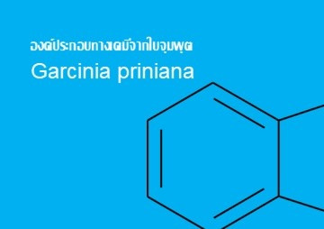 องค์ประกอบทางเคมีจากใบจุมพุต (Garcinia priniana) รูปภาพ 1