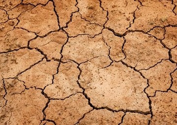 The study of Potassium – 40 in chokun tangerine soil A ... พารามิเตอร์รูปภาพ 1