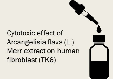 Cytotoxic effect of Arcangelisia flava (L.) Merr extract on ... พารามิเตอร์รูปภาพ 1