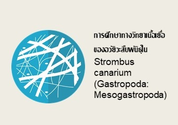 การศึกษาทางวิทยาเนื้อเยื่อของอวัยวะสืบพันธุ์ใน Strombus ... รูปภาพ 1