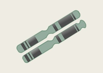 A chromosome number of Poecilia velifera and Poecilia ... พารามิเตอร์รูปภาพ 1