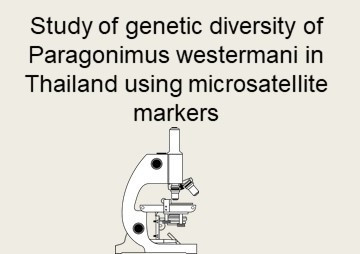 Study of genetic diversity of Paragonimus westermani in ... รูปภาพ 1