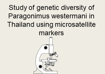 Study of genetic diversity of Paragonimus westermani in ... พารามิเตอร์รูปภาพ 1