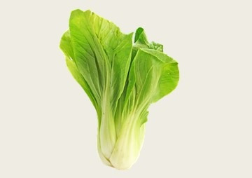 ความเป็นพิษและการสะสมของแคดเมียมในผักกวางตุ้ง (Brassica ... พารามิเตอร์รูปภาพ 1