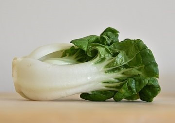 Phytotoxicity and Accumulation of Cadmium in Brassica ... พารามิเตอร์รูปภาพ 1