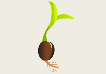 ผลของสารสกัดหยาบจากเปลือกต้นตาเสือ (Aglaia spectabilis ... พารามิเตอร์รูปภาพ 1