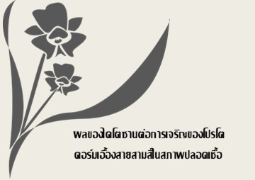 ผลของไคโตซานต่อการเจริญของโปรโตคอร์มเอื้องสายสามสีในสภาพปลอดเชื้อ ... พารามิเตอร์รูปภาพ 1