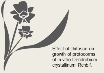 Effect of chitosan on growth of protocorms of in vitro ... พารามิเตอร์รูปภาพ 1