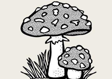 Growth of antagonistic fungi on chemical pesticide mixed ... รูปภาพ 1