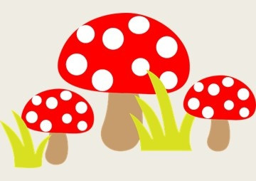 Ecological Factor on Growth of Mushroom genus Phellinus ... พารามิเตอร์รูปภาพ 1