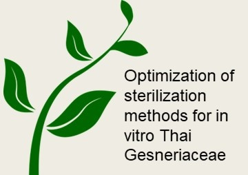 Optimization of sterilization methods for in vitro Thai ... พารามิเตอร์รูปภาพ 1