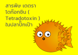สารพิษ เตตราโดท๊อกซิน ( Tetradotoxin ) ในปลาปั๊กเป้า พารามิเตอร์รูปภาพ 1