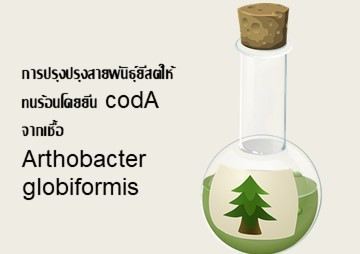 การปรุงปรุงสายพันธุ์ยีสต์ให้ทนร้อนโดยยีน codA จากเชื้อ ... พารามิเตอร์รูปภาพ 1