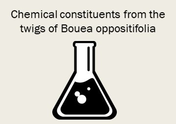 Chemical constituents from the twigs of Bouea oppositifolia พารามิเตอร์รูปภาพ 1