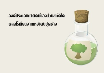 องค์ประกอบทางเคมีของส่วนสกัดไดคลอโรมีเธนจากเหง้าต้นปุดช้าง พารามิเตอร์รูปภาพ 1