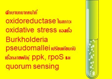 ศึกษาบทบาทหน้าที่ oxidoreductase ในสภาวะ oxidative stress ... พารามิเตอร์รูปภาพ 1