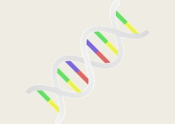 การพัฒนา RNA ที่สามารถยึดจับนิกเกิลเพื่อใช้เป็น affinity ... รูปภาพ 1