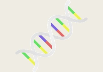 การพัฒนา RNA ที่สามารถยึดจับนิกเกิลเพื่อใช้เป็น affinity ... พารามิเตอร์รูปภาพ 1