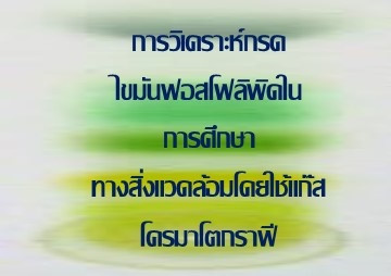 การวิเคราะห์กรดไขมันฟอสโฟลิพิดในการศึกษาทางสิ่งแวดล้อมโดยใช้แก๊สโครมาโตกราฟี ... รูปภาพ 1