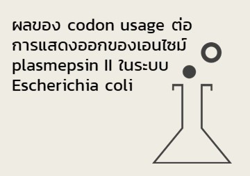 ผลของ codon usage ต่อการแสดงออกของเอนไซม์ plasmepsin II ... พารามิเตอร์รูปภาพ 1