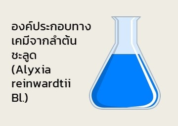 องค์ประกอบทางเคมีจากลำต้นชะลูด (Alyxia reinwardtii Bl.) พารามิเตอร์รูปภาพ 1