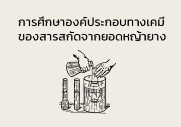 การศึกษาองค์ประกอบทางเคมีของสารสกัดจากยอดหญ้ายาง พารามิเตอร์รูปภาพ 1