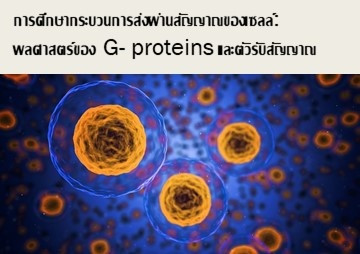 การศึกษากระบวนการส่งผ่านสัญญาณของเซลล์: พลศาสตร์ของ G- prote ... รูปภาพ 1