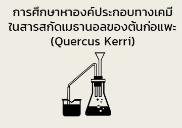 การศึกษาหาองค์ประกอบทางเคมีในสารสกัดเมธานอลของต้นก่อแพะ (Que ... รูปภาพ 1