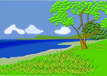 ผลกระทบจากการถูกกัดกินต่อการเติบโตของใบหญ้าทะเลชนิด Thalassi ... รูปภาพ 1