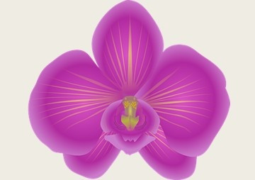 การเก็บรักษากล้วยไม้เอื้องสายสามสีโดยการชักนำให้เกิดการพักตัวของโพรโทคอร์มและการทำเมล็ดเทียม ... พารามิเตอร์รูปภาพ 1