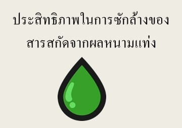 ประสิทธิภาพในการซักล้างของสารสกัดจากผลหนามแท่ง พารามิเตอร์รูปภาพ 1