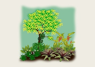 ระบบจำลองการจัดสวนออนไลน์ Online Virtual Gardening System รูปภาพ 1