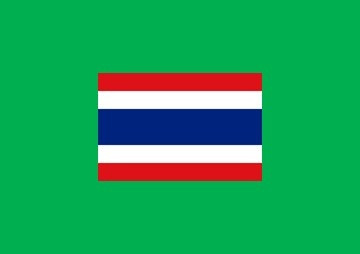 ประเทศไทยทาสีเขียว ( Paint On Thailand ) รูปภาพ 1