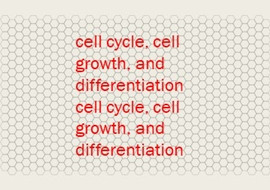 cell cycle, cell growth, and differentiation cell cycle, cel ... รูปภาพ 1